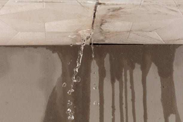 Professional Water Damage Restoration technician working in Machias, WA